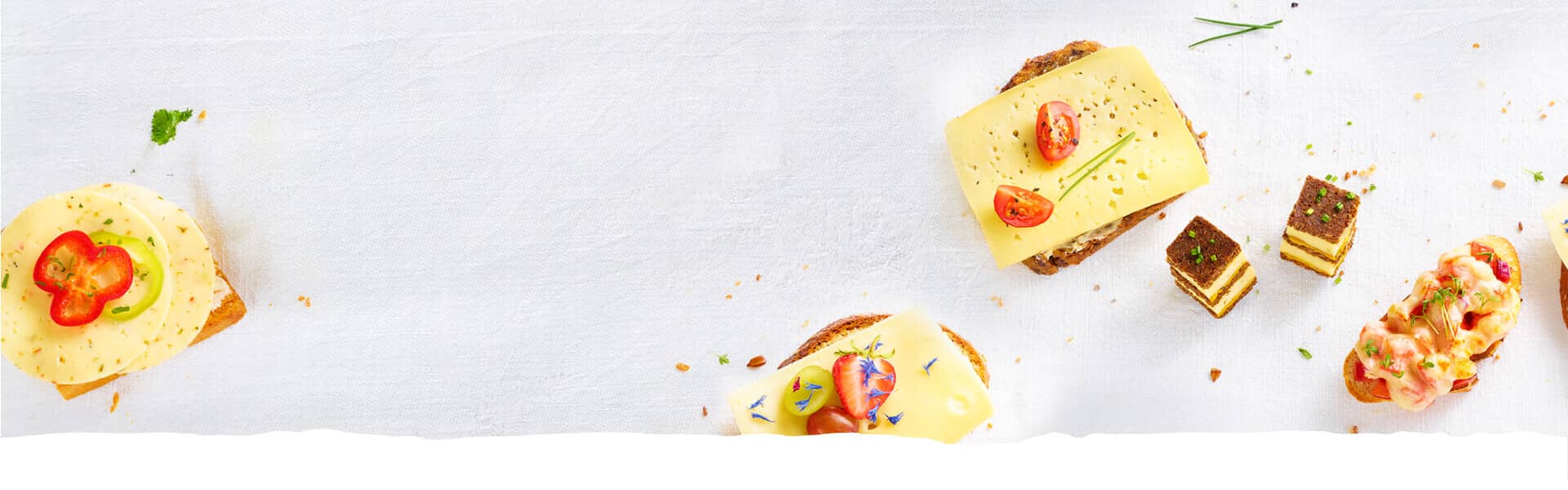 Holtseer Landkäserei Holtseer Landkäserei